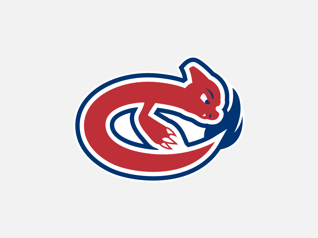 Charmeliens de Montreal logo iron on transfers
